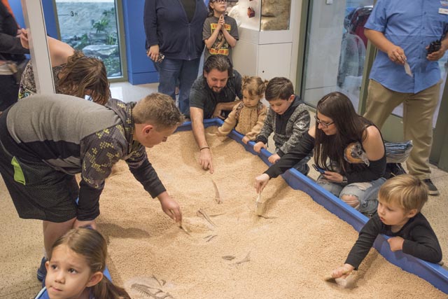 Witte Museum